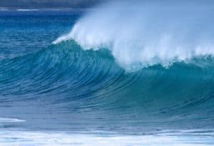 Eine große kraftvolle Welle mit weißer Schaumkrone ist auf dem Foto zu sehen.