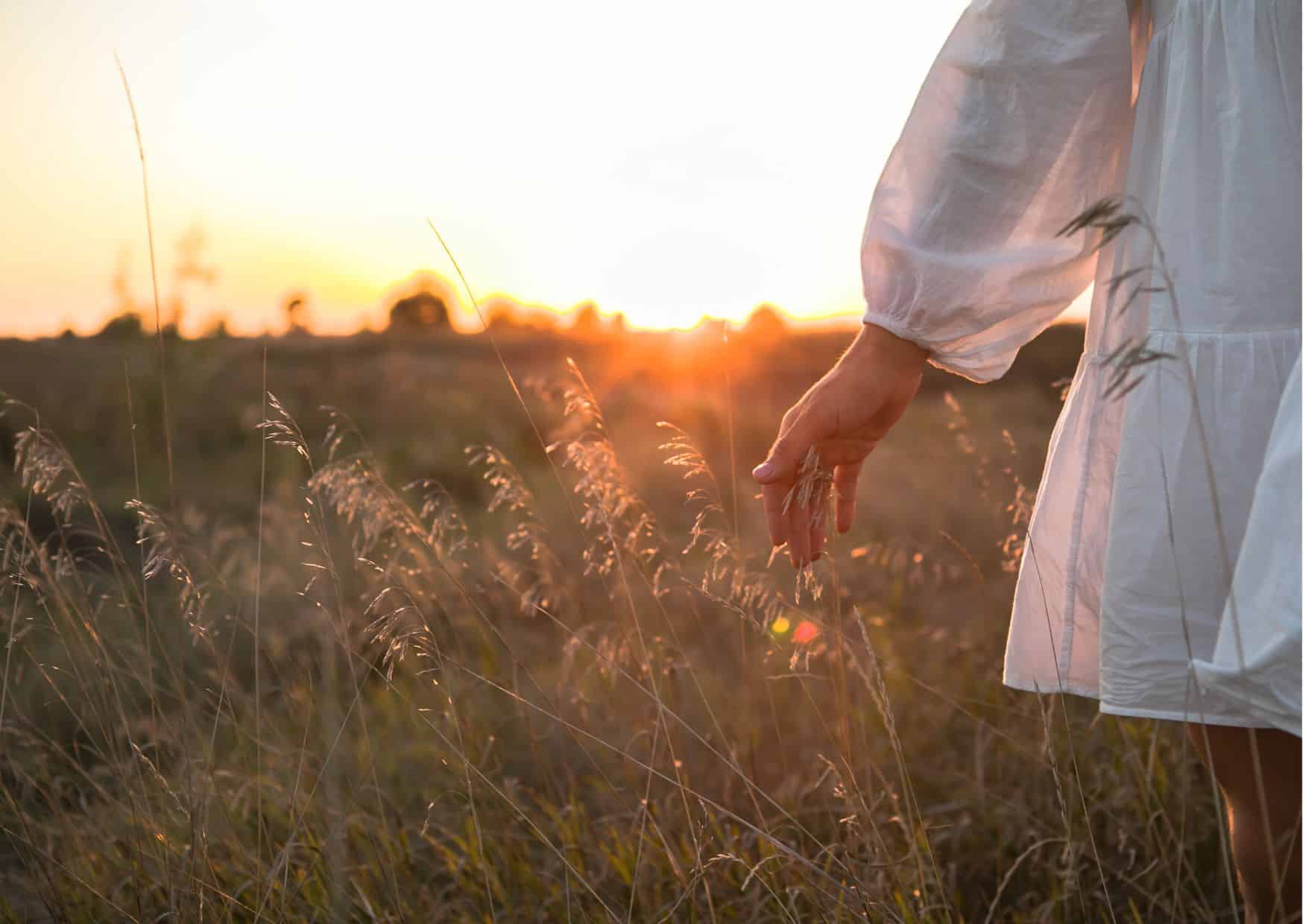 Eine Frau streift mit der Hand durch Gras im goldenen Abendlicht. Sie ist feinfühlig.